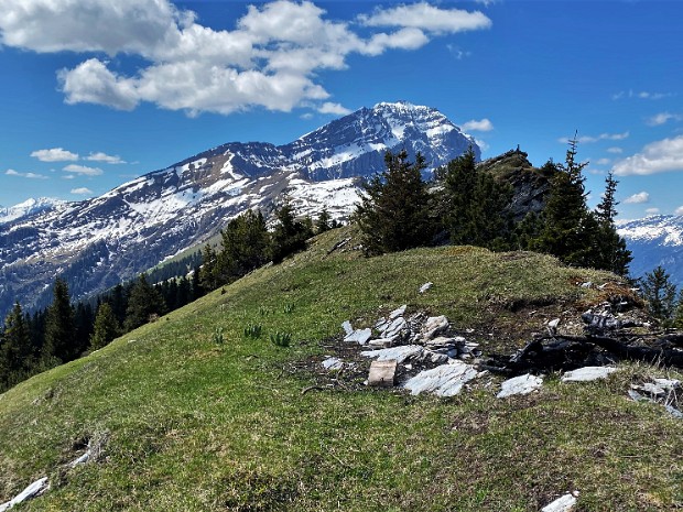 Haldensteiner Calanda